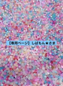【専用ページ】しばもん★さま