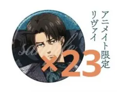 進撃の巨人 Dignified 缶バッジ リヴァイ アニメイト 特典 23点