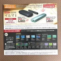 セイコーマート限定　イルマ割引券　テリア引換券