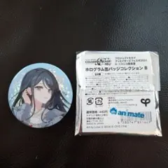 プロセカ　ホログラム缶バッジコレクション　星乃一歌　②