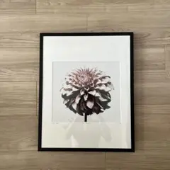 TAKUYA URUKI フラワーアート ポートレート