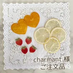 charmant.様オーダーページ【押しフルーツ】【押し花】【押し野菜】