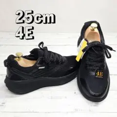 Item thumbnail for item e1d1062e-aaa2-4454-ba46-83f60951d97c