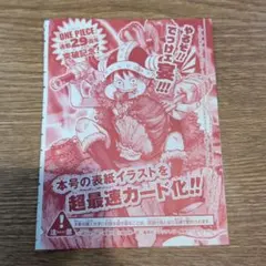 ワンピース 連載29周年突破記念 付録カード - メルカリ