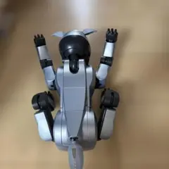 2026年最新】ers aibo 210の人気アイテム - メルカリ
