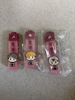 ハイキュー　一番くじ　キーホルダー　ぽこっとチャーム　宮侑　宮治　北信介