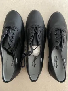 Item thumbnail for item e874e499-4967-4293-9819-fb5e0c9ef107