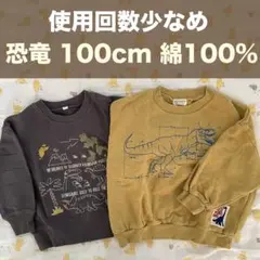 F.O.KIDS 綿100%裏毛トレーナー100cm2枚セット 恐竜刺繍 男の子