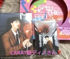 SEVENTEEN ディノ CARAT盤 バインダーspillthefeels