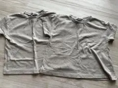 はらぺこあおむし Tシャツ 2枚セット