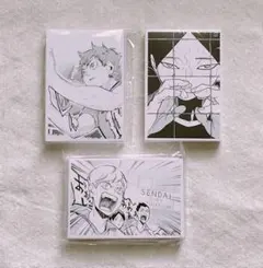 ハイキュー!! クロニクル特典 思い出スナップフォトカード全種 120枚