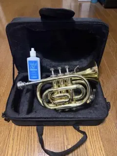 2025年最新】ポケットトランペット ヤマハの人気アイテム - メルカリ