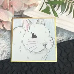 こんこん 狐様 リクエスト 2点 まとめ商品