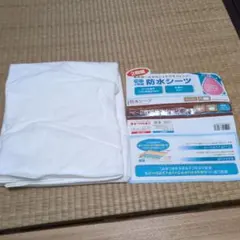 Item thumbnail for item af96fe2f-6b45-4457-a6b2-c6283f1fc56c