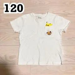 【120】graniph グラニフ　ポケモン　Tシャツ ピカチュウ　イーブイ