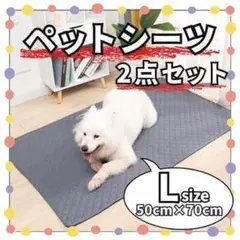 Item thumbnail for item b671b511-1016-45cd-afc4-861ff828dd97