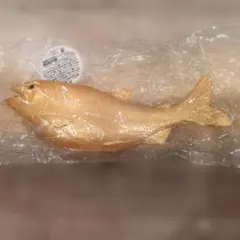 Item thumbnail for item af6914af-19de-4a1c-9ba9-50b98733953f