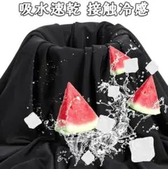 Item thumbnail for item 1485bf57-905f-4155-a3a4-f8a35db63ecb