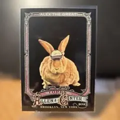 Topps Allen & Ginter X Alex The Great