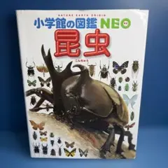 Item thumbnail for item 235725fe-0bd1-4491-a409-0c53fc58ad9e