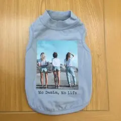 Item thumbnail for item beb54149-0b84-4003-92cd-17c6aa704604