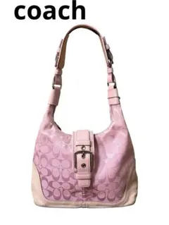 【極希少】Coach Soho Oneshoulder Bag Suede