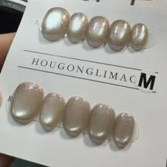 【セツ】マグネット　ネイルチップ　付け爪(A1373)