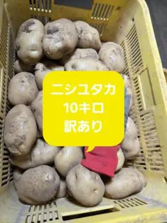 2026年最新】訳ありじゃがいもの人気アイテム - メルカリ