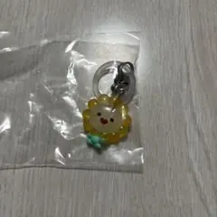 たま 様　専用ページ