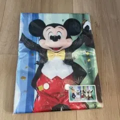 ディズニー イマジニングザマジック 実写バスタオル　ミッキー　ドナルド