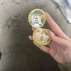 クレヨンしんちゃん ガチャガチャ 指輪