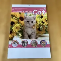 erizabeth様 リクエスト 2点 まとめ商品