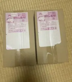 ポケモンセンター トウホク スペシャルBOX 2個セット