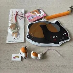 夏目友人帳 ニャンコ先生 アクリル根付 ストラップ　パスケース　徒然　4点