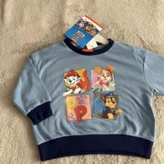 Item thumbnail for item 8a2850e3-ccd5-42e1-9732-a84d2bde84a9