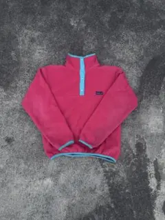 レア】 patagonia2015年40周年限定旧ロゴダウンスナップTプルオー