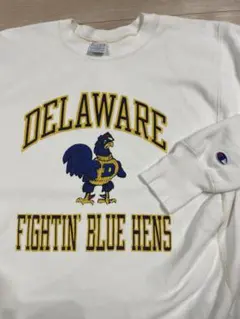 90s USA製 Championリバースウィーブ3段プリント スウェット