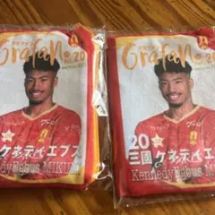 Item thumbnail for item 2455399b-ad09-4f92-8072-d0b3c0030f87