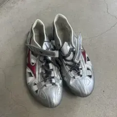 Mizuno 陸上スパイク シルバー×レッド 25.0cm - メルカリ