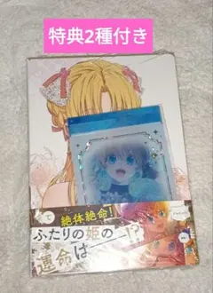 特典2種付き ある日、お姫様になってしまった件について 12