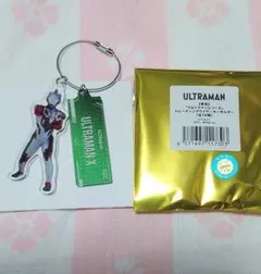 ウルトラマンエックス　トレーディングワイヤーキーホルダー