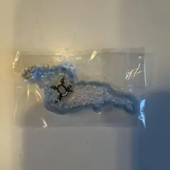 びわこキーホルダー　フェンシング　レア
