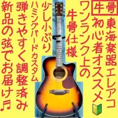 2026年最新】tokai humming birdの人気アイテム - メルカリ