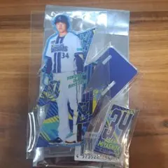 横浜DeNAベイスターズ　宮下朝陽　ブルーメイツ会員限定　アクリルスタンドのサムネイル