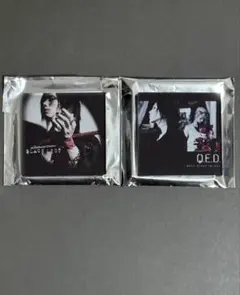 Acid Black Cherry アクリルマグネットA 2個セット