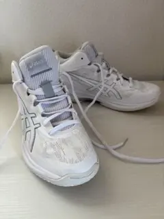 ASICS バスケットボールシューズ GELHOOP V17 STANDARD