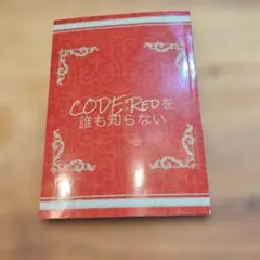 CODE:REDを誰も知らない 同人誌 ダミアニャ