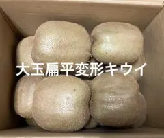 大玉扁平変形グリーンキウイ2kg