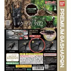 いきもの大図鑑アドバンス クワガタ02 エラフスホソアカクワガタ（ブルー）