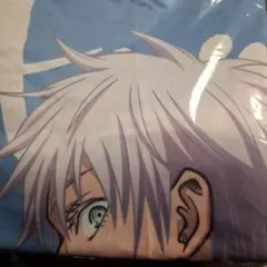 Item thumbnail for item e5a8357f-ec06-4fcc-a5dc-a1663c86467f